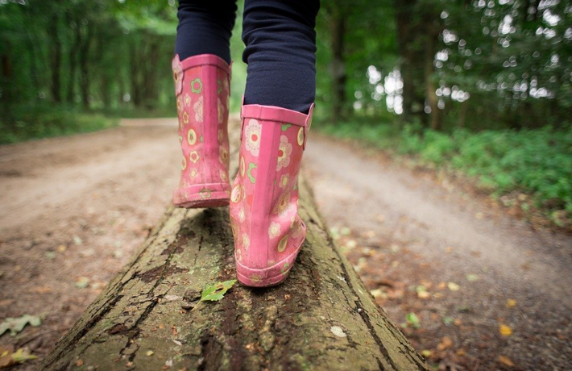 Wald Wald